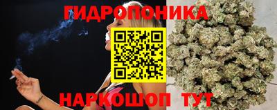 амф Краснодар