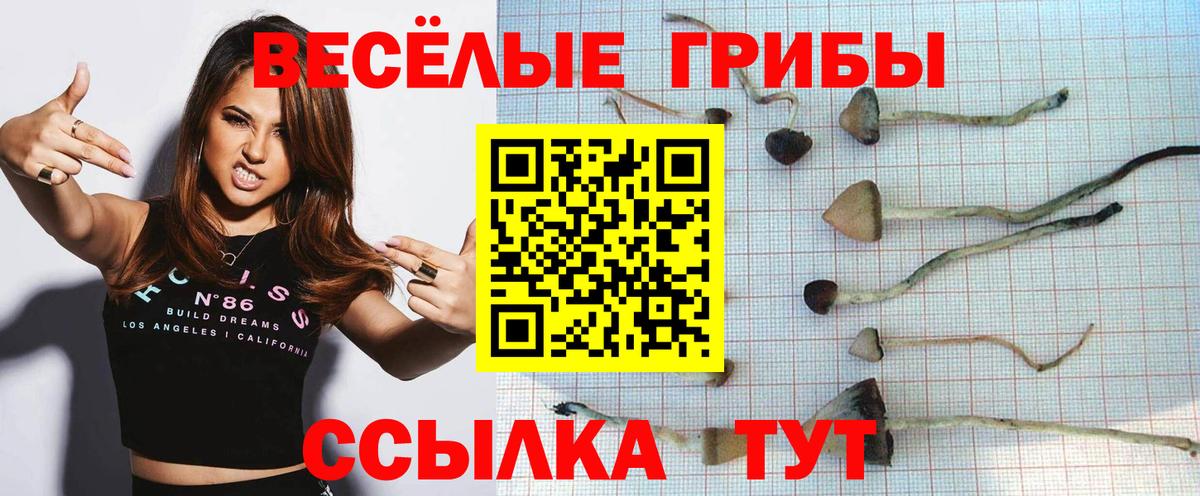 Псилоцибиновые грибы Cubensis  Псилоцибиновые грибы MAGIC MUSHROOMS  Вход с VPN  Шадринск 