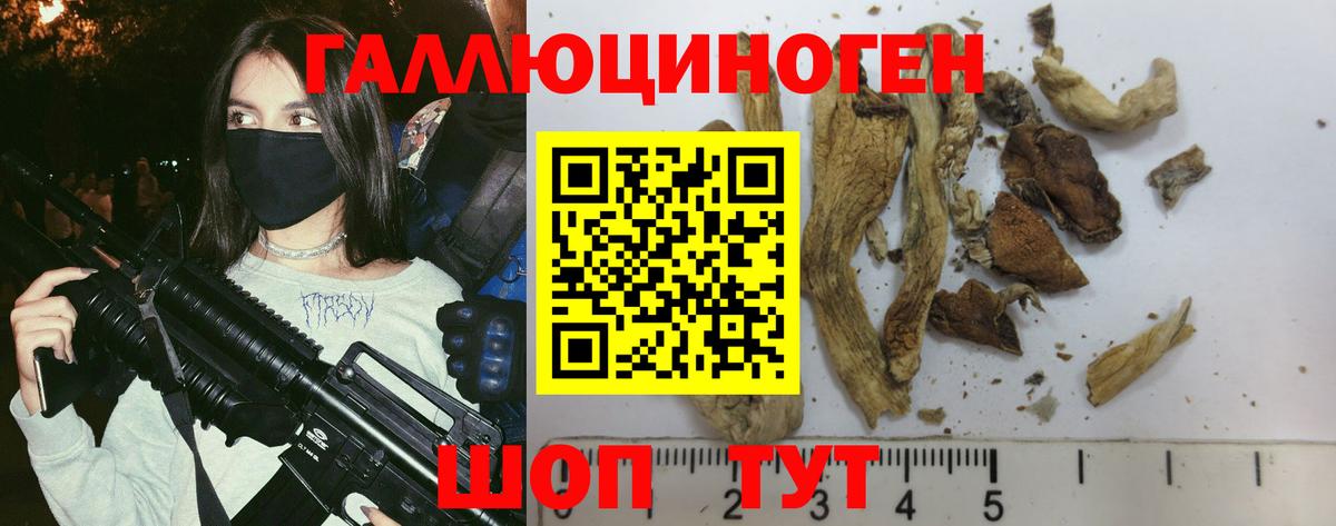 Псилоцибиновые грибы MAGIC MUSHROOMS Шадринск